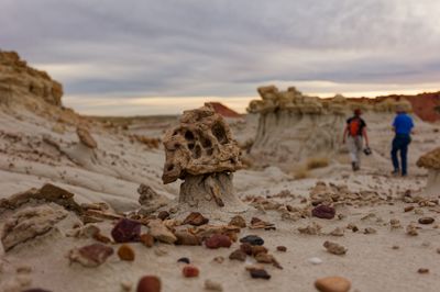 Bisti - Mushroom Face Rock (2026)