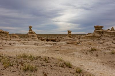 Bisti - Defying Gravity (2026)