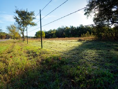 Sunrise on a Field (2024)
